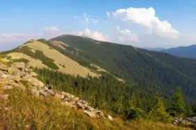 Kandıra'da Yaz Sezonu Hareketliliği Başladı