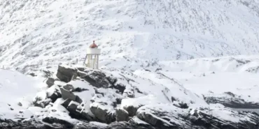 Yaylalarda Otlatılan Küçükbaş Hayvanlar Günde İki Kez Sağım Yapılıyor